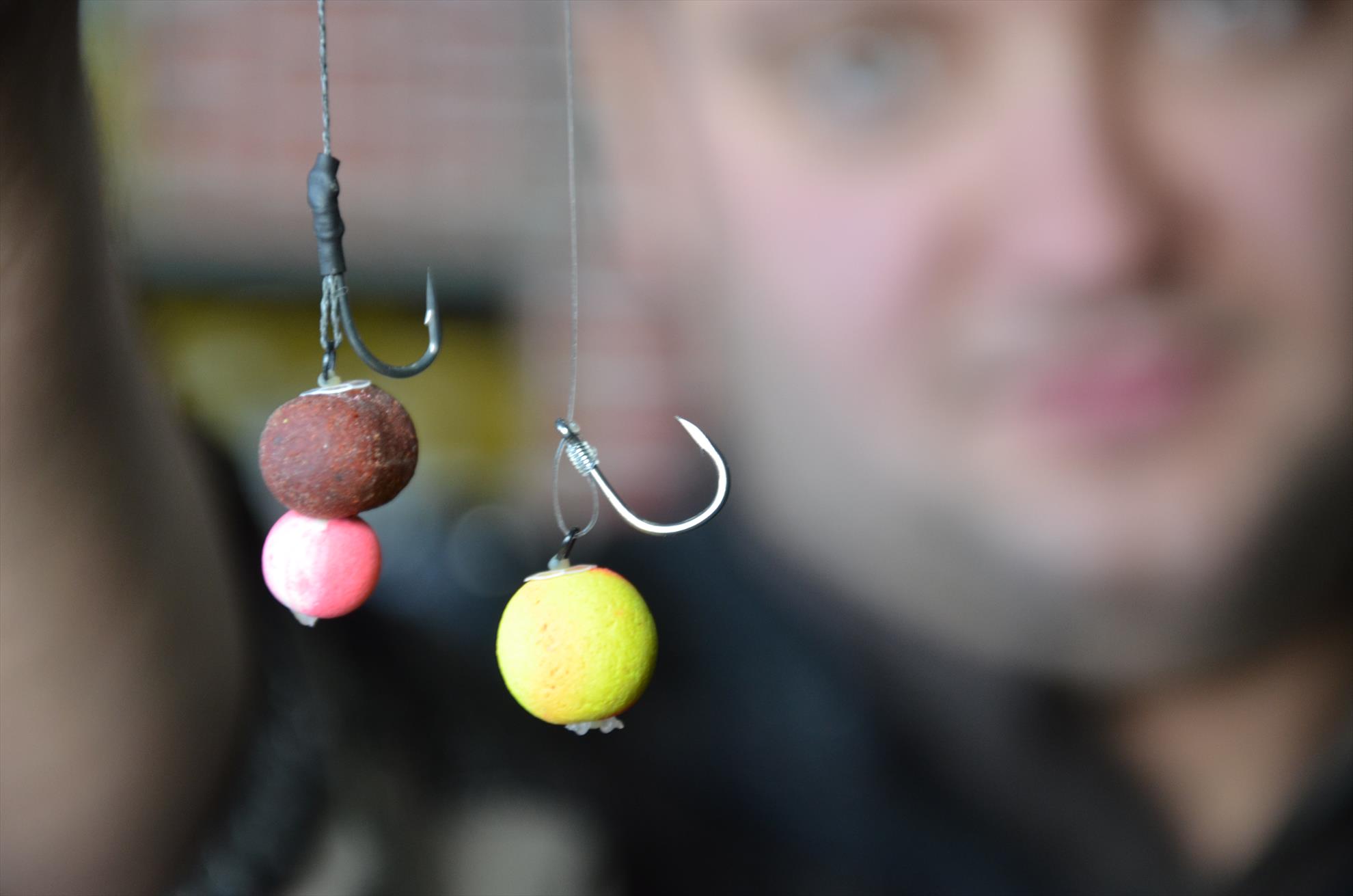 Doua monturi de sezon de la Cipica